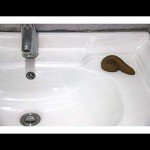 Realistic Fake Poop Prank Gag Gift - 2 Pack