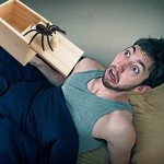 Fake Spider Surprise Box Prank Gift for Everyone