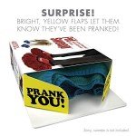 Pet Sweep Prank Gift Box for Laughs