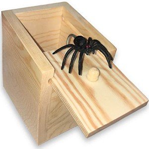 Funny Spider Prank Box Gag Gift for Everyone
