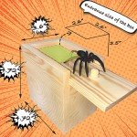 Funny Spider Prank Box Gag Gift for Everyone
