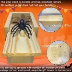 Funny Spider Prank Box Gag Gift for Everyone