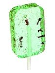 Assorted Ant Lollipop Pack – Fun Flavors!