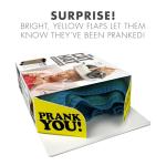 Hilarious Prank Gift Box for Cat Lovers