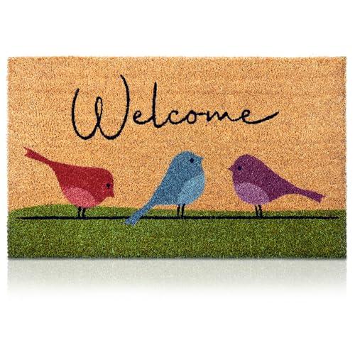 Funny Bird Welcome Mat - Colorful and Cheery