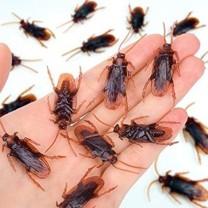 Realistic Fake Cockroaches for Pranks and Jokes
