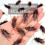 Realistic Fake Cockroaches for Pranks and Jokes