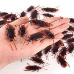 210 Pcs Realistic Bug Prank Set for Fun