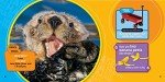 Kids' Joke Book: 300 Fun Jokes & Riddles