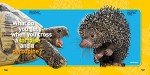 Kids' Joke Book: 300 Fun Jokes & Riddles