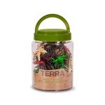 Funny Mini Bug Figures in Storage Tube