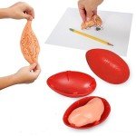 Crayola Silly Putty – Fun Stretch & Bounce Set