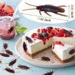 Realistic Fake Cockroaches for Pranks and Jokes