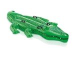 Giant Inflatable Gator Pool Float for Kids