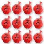 12 Pack Whoopee Cushions for Pranks and Fun