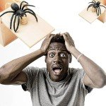 Rubber Spider Surprise Box for Fun Pranks