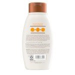 Aveeno Apple Cider Vinegar Shine Shampoo 12 oz