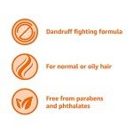Vegan Dandruff Shampoo for Oily Hair, 28.2 oz