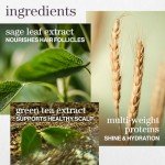 Pureology Vegan Moisturizing Conditioner for Color-Treated Hair