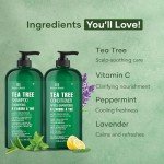 Tea Tree Oil Shampoo & Conditioner Set