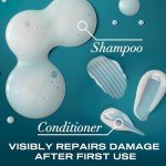 Sulfate-Free Argan Oil Shampoo and Conditioner Set