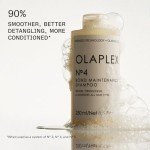 Olaplex Vegan Hair Care Wash and Shine Kit