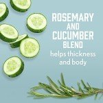 Vegan Fresh Greens Shampoo and Conditioner Duo