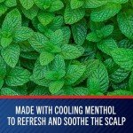 Maximum Strength Vegan Anti-Dandruff Shampoo, 11 fl. oz