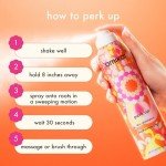 Amika Perk Up Vegan Dry Shampoo, 5.3 oz