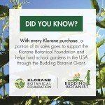 Klorane Nettle Dry Shampoo for Oily Hair