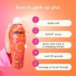 Amika Perk Up Plus Dry Shampoo