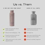 Vegan Zinc Anti-Dandruff Shampoo for All Scalp Types