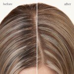 Pureology Vegan Refresh & Go Dry Shampoo 5.3 Oz