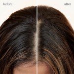 Pureology Vegan Refresh & Go Dry Shampoo 5.3 Oz