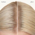 Pureology Vegan Refresh & Go Dry Shampoo 5.3 Oz