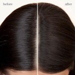 Pureology Vegan Refresh & Go Dry Shampoo 5.3 Oz