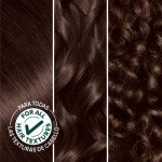 Garnier Nutrisse Dark Chocolate Vegan Hair Dye