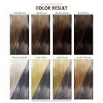 Adore Vegan Semi-Permanent Gray Hair Color - Mystic Gray