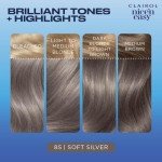 Clairol Nice'n Easy 8S Soft Silver Hair Dye