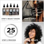 Clairol Vegan Advanced Gray Solution, Midnight Black