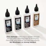 Clairol Vegan Advanced Gray Solution, Midnight Black