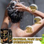 Herbal Gray Hair Shampoo & Dye 3 in 1