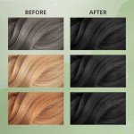 Vegan Black Hair Dye Shampoo for Grey Coverage