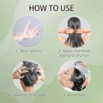 Vegan Black Hair Dye Shampoo for Grey Coverage