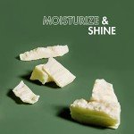 SheaMoisture Vegan Beard Conditioning Oil 3.2 oz