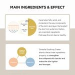 Madagascar Centella Soothing Cream with Ceramide Complex