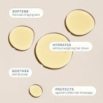 Organic Jojoba Oil - 100% Pure & Versatile