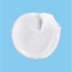 Vegan Acne Spot Treatment with 2.5% Benzoyl Peroxide