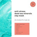 Freeman Lavender & Sea Salt Anti-Stress Clay Mask