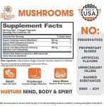 Vegan Brain Boost: Lion’s Mane & Reishi Capsules